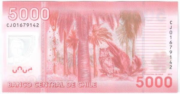 5000 Pesos