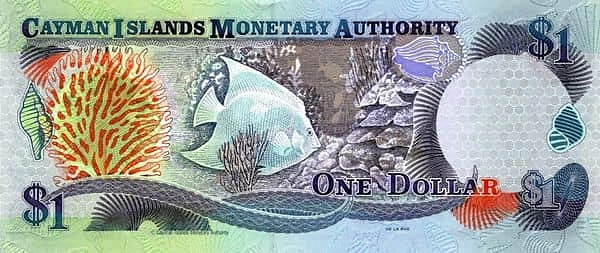 1 Dollar Discovery