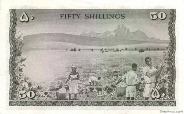 50 Shillings