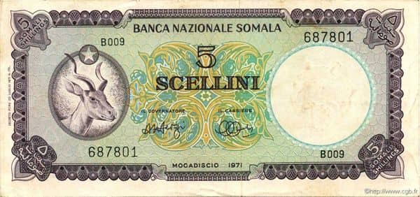 5 Scellini