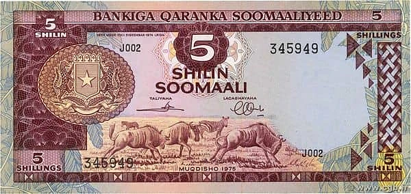 5 Shilin