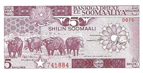 5 Shilin