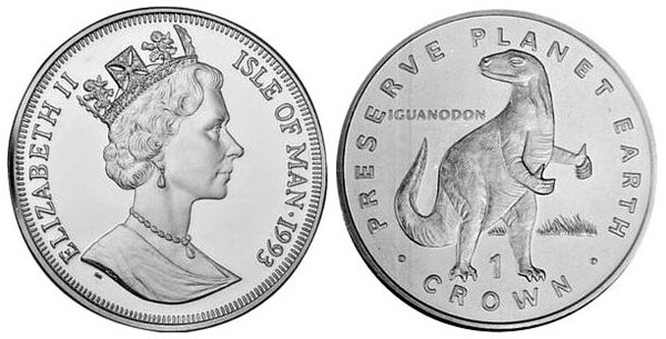 1 crown (Iguanodon)