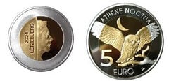 5 Euro (Athene noctua)