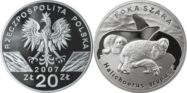 20 zlotych (Tiere - Kegelrobbe)