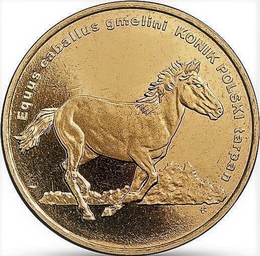 2 zlote (Polnisches Pferd Konik)