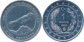 1 kuruş (Cernícalo)