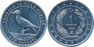 1 kuruş (Sperber)