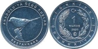 1 kuruş (Blaumeise)