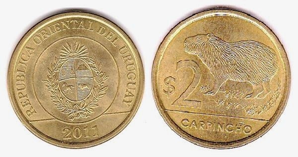 2 pesos (Capybara)